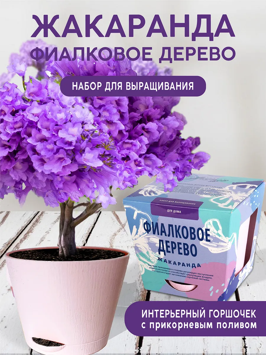 Фиалковое дерево Набор для...