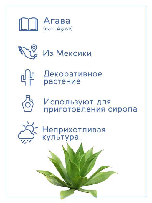 Тысяча Листьев Агава Набор для выращивания растений и цветов, вариант, фото 2