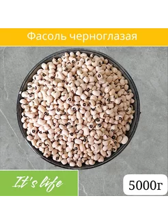 Фасоль черноглазая 5000г 211510744 купить за 1 262 ₽ в интернет-магазине Wildberries