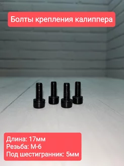 Болты тормоза велосипеда ExpertStore 211580460 купить за 243 ₽ в интернет-магазине Wildberries