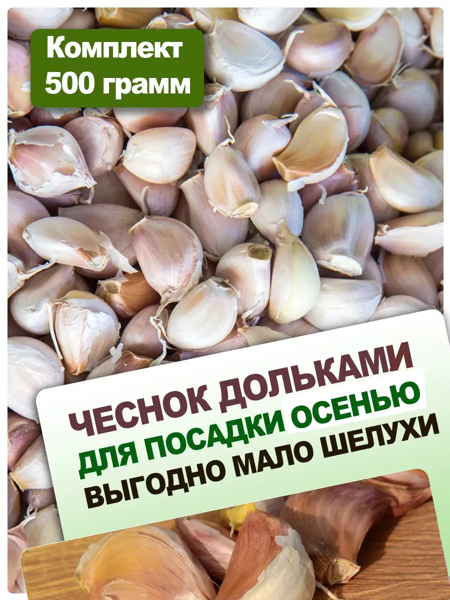 осенью озимый дольками...