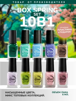 Лак для стемпинга набор Swanky Stamping 211671876 купить за 1 192 ₽ в интернет-магазине Wildberries