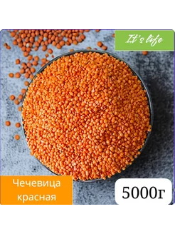 Чечевица красная 5000г 211812685 купить за 717 ₽ в интернет-магазине Wildberries