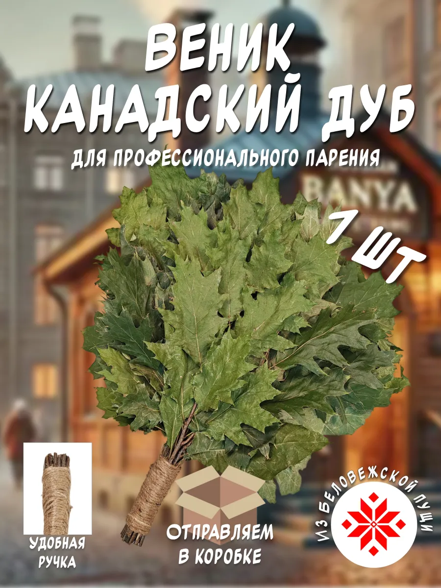 Веник канадский дуб для бани и сауны.Премиум.