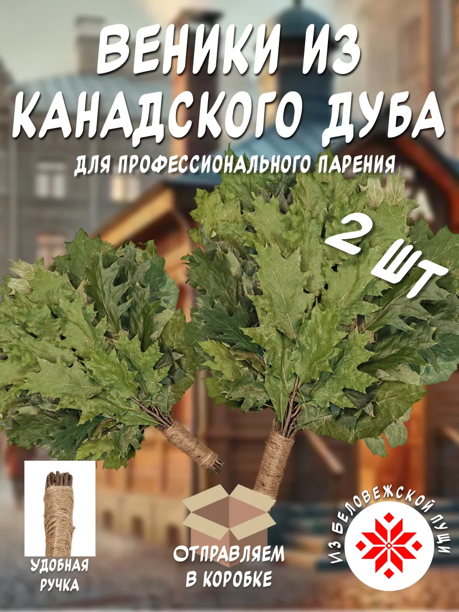 Веник канадский дуб для бани и сауны. 2 шт.