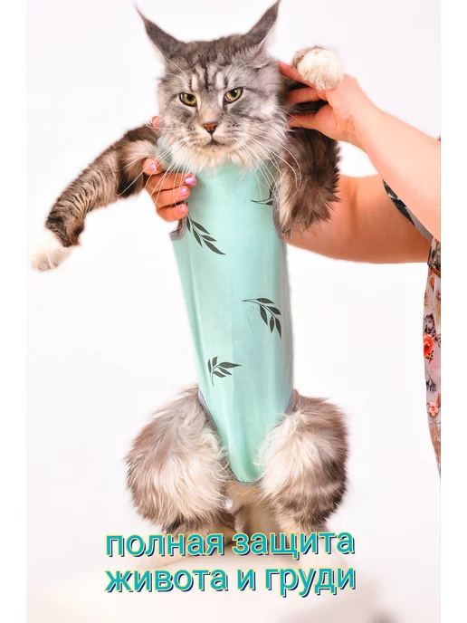 ANY PET Попона послеоперационная №0 маленькие кошки и собачки, вариант, фото 8