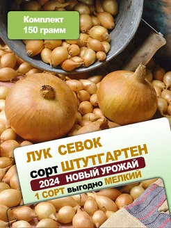 Лук севок для посадки весной Штуттгартен 150 грамм Семена для открытого грунта 211959002 купить за 131 ₽ в интернет-магазине Wildberries