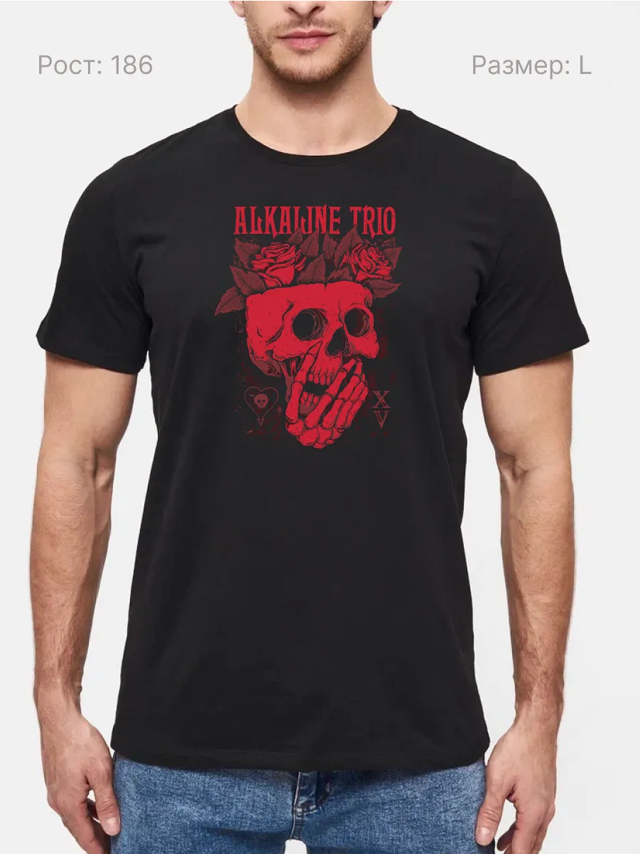 Футболка Alkaline Trio