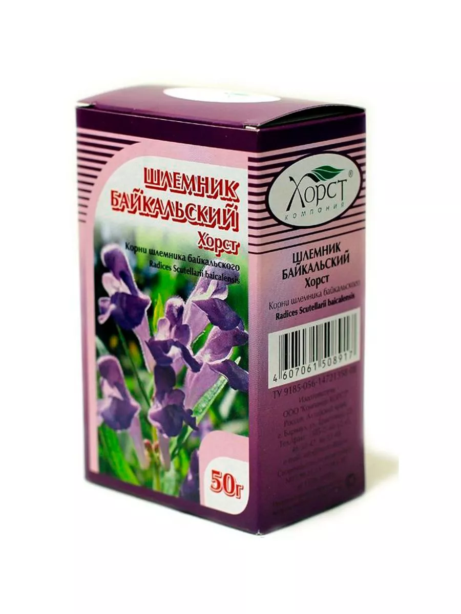 Трава байкальская шлемник. Шлемник байкальский свойства применение. Шлемник байкальский свойства применение. Шлемник байкальский препараты. Шлемник понтийский.