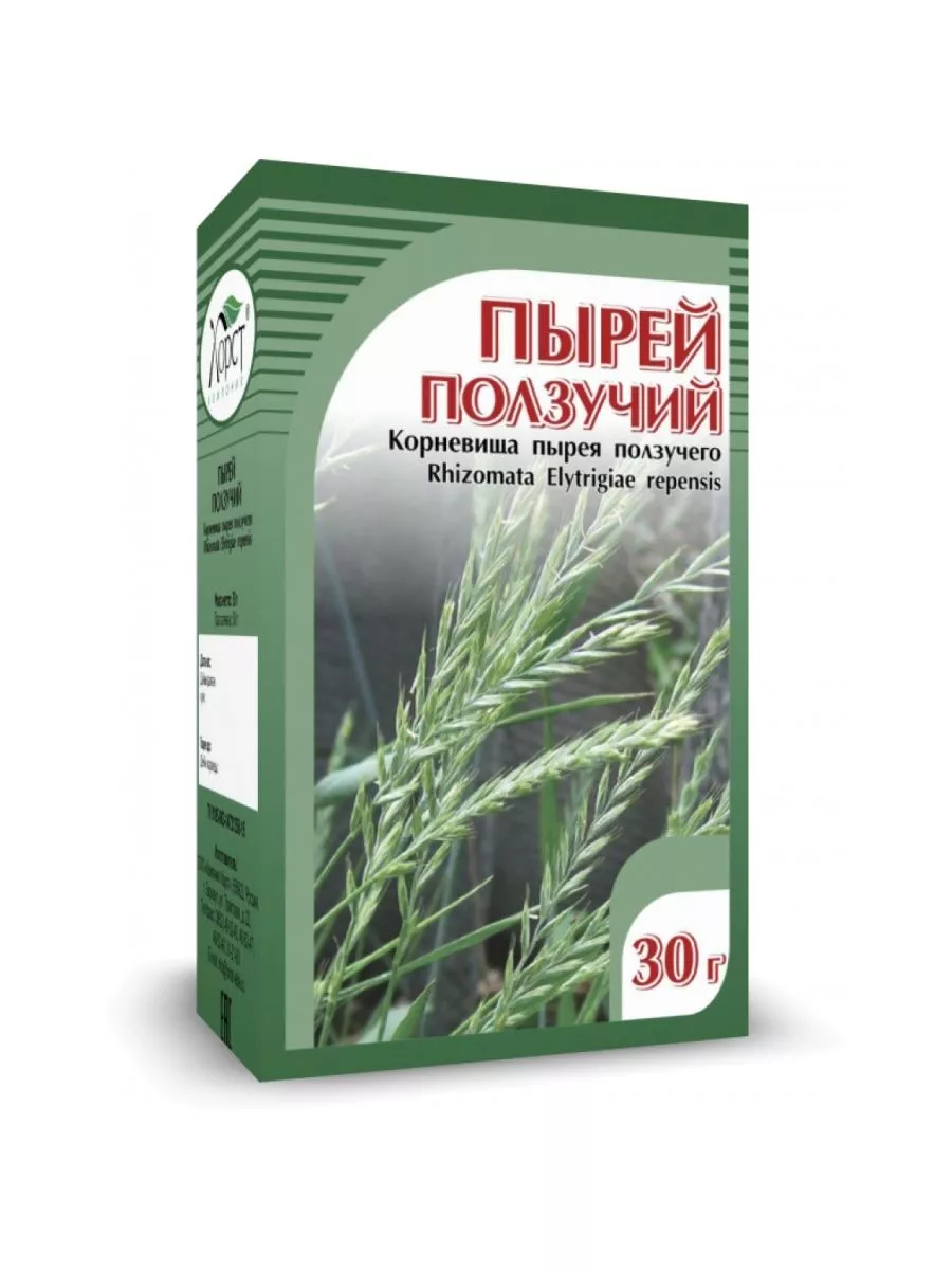 Пырей Семена Купить