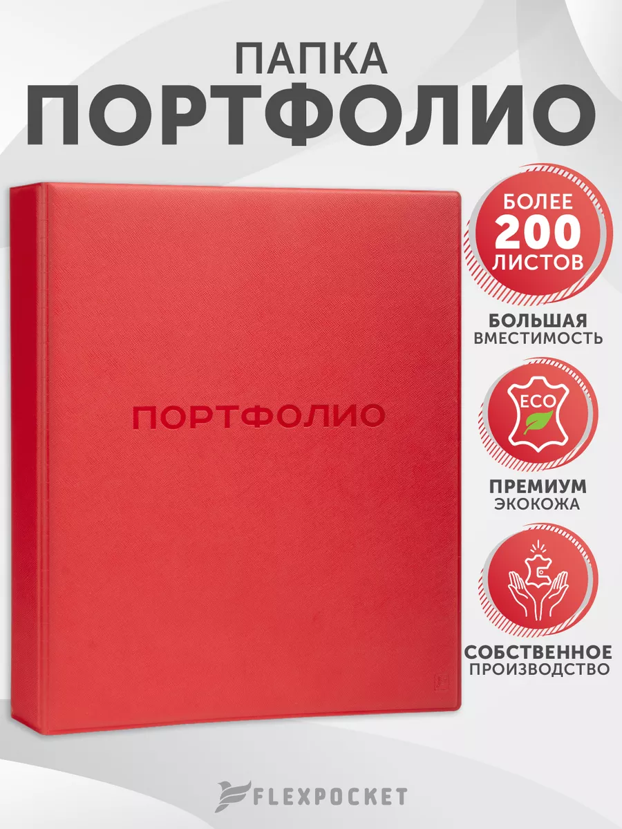 Портфолио школьника на кольцах
