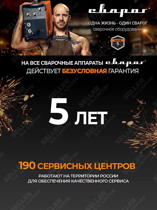 Сварог Сварочный аппарат инверторный ММА REAL ARC 250 (Z231), вариант, фото 2