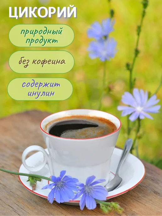 столетов Цикорий растворимый классический, вариант, фото 2