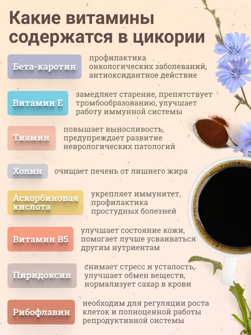 столетов Цикорий растворимый классический, вариант, фото 3