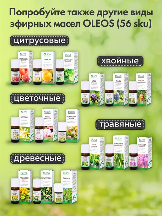 Oleos Набор эфирных масел Пихта, Чайное дерево, Эвкалипт 3*10 мл, 3x10, фото 8