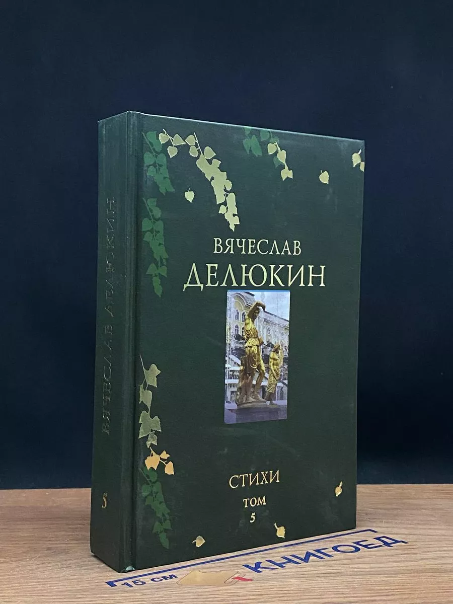 В. Делюкин. Поэтическое путешествие. Стихи. Том 5