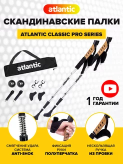 Палки для скандинавской ходьбы складные треккинговые Atlantic 212172276 купить за 1 429 ₽ в интернет-магазине Wildberries