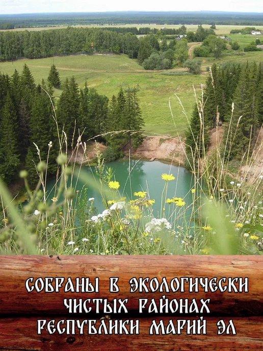 Дубовый Веник Комплект веников для бани, можжевельник и 2 березы 2026, вариант, фото 6
