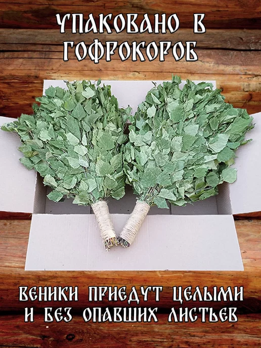 Дубовый Веник Комплект веников для бани, можжевельник и 2 березы 2026, вариант, фото 8