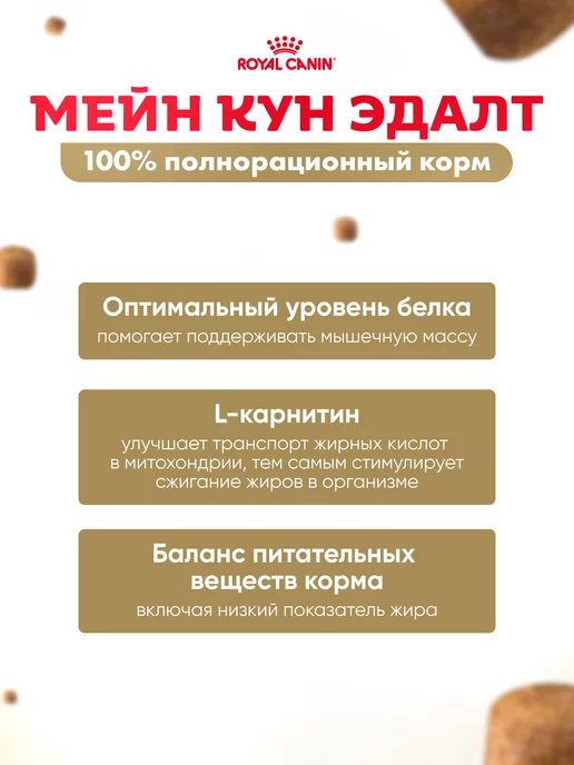 Сухой корм Royal canin Maine Coon для собак, взрослые, 2 кг, фото 3