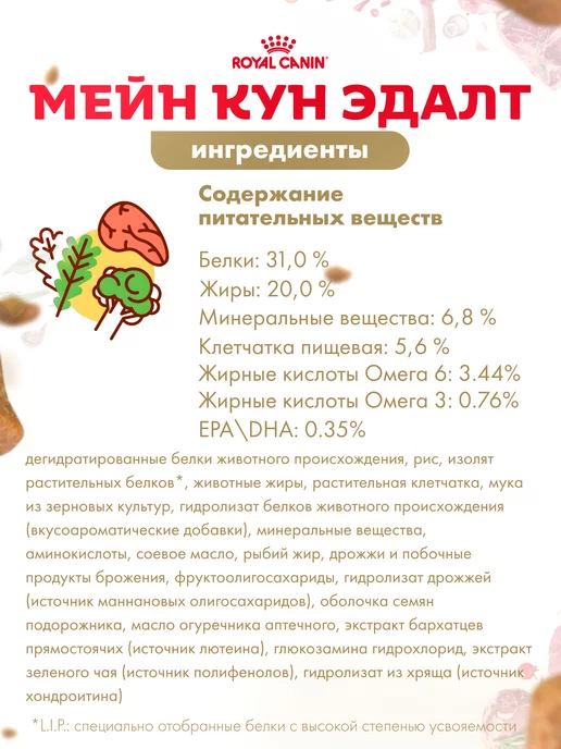 Сухой корм Royal canin Maine Coon для собак, взрослые, 2 кг, фото 5