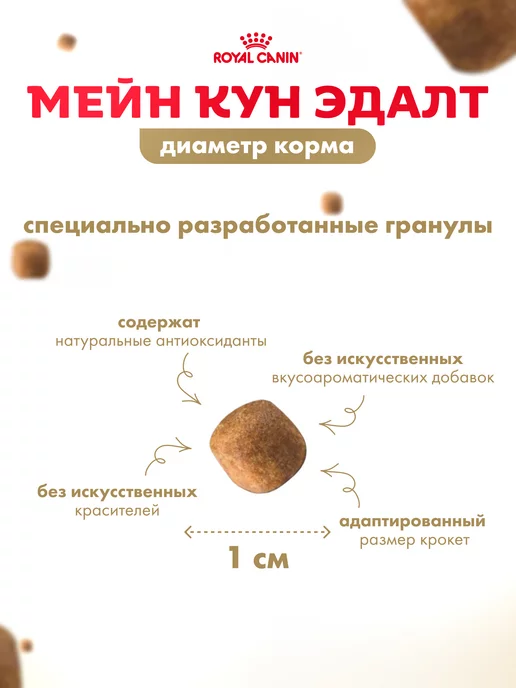 Сухой корм Royal canin Maine Coon для собак, взрослые, 2 кг, фото 6