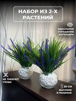 Лаванда + осока в горшке для декора в кашпо 2шт GLAZUNOVA HOME 212380964 купить за 760 ₽ в интернет-магазине Wildberries