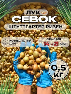 Лук севок на посадку 0,5 кг Зеленый рай 212388484 купить за 251 ₽ в интернет-магазине Wildberries