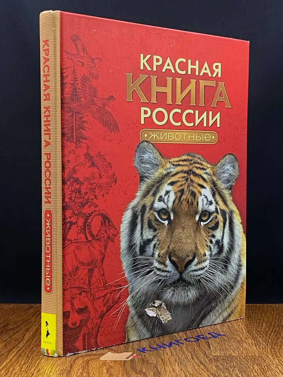 Красная книга России. Животные Росмэн 212410479 купить в интернет-магазине  Wildberries