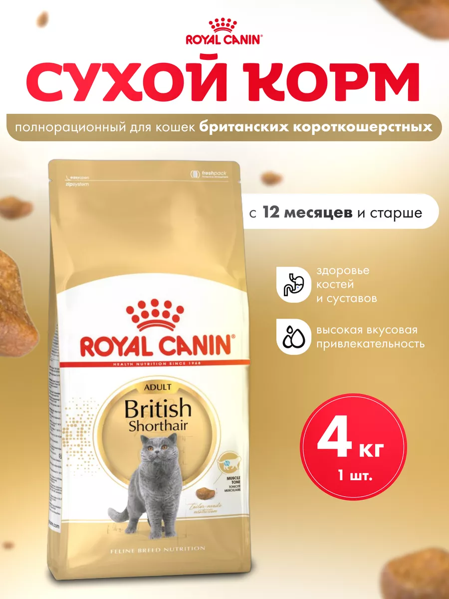 Royal Canin Maine Coon 2 Кг Купить