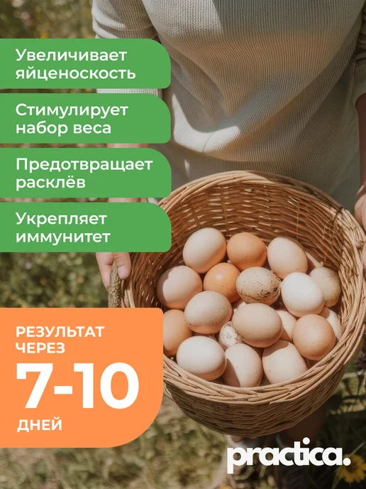 practica Витамины для кур и других птиц, 5 кг, 5 кг, фото 2