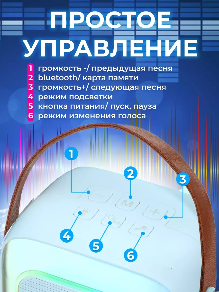 Караоке колонка с микрофоном Дани 212536906 купить за 892 ₽ в  интернет-магазине Wildberries