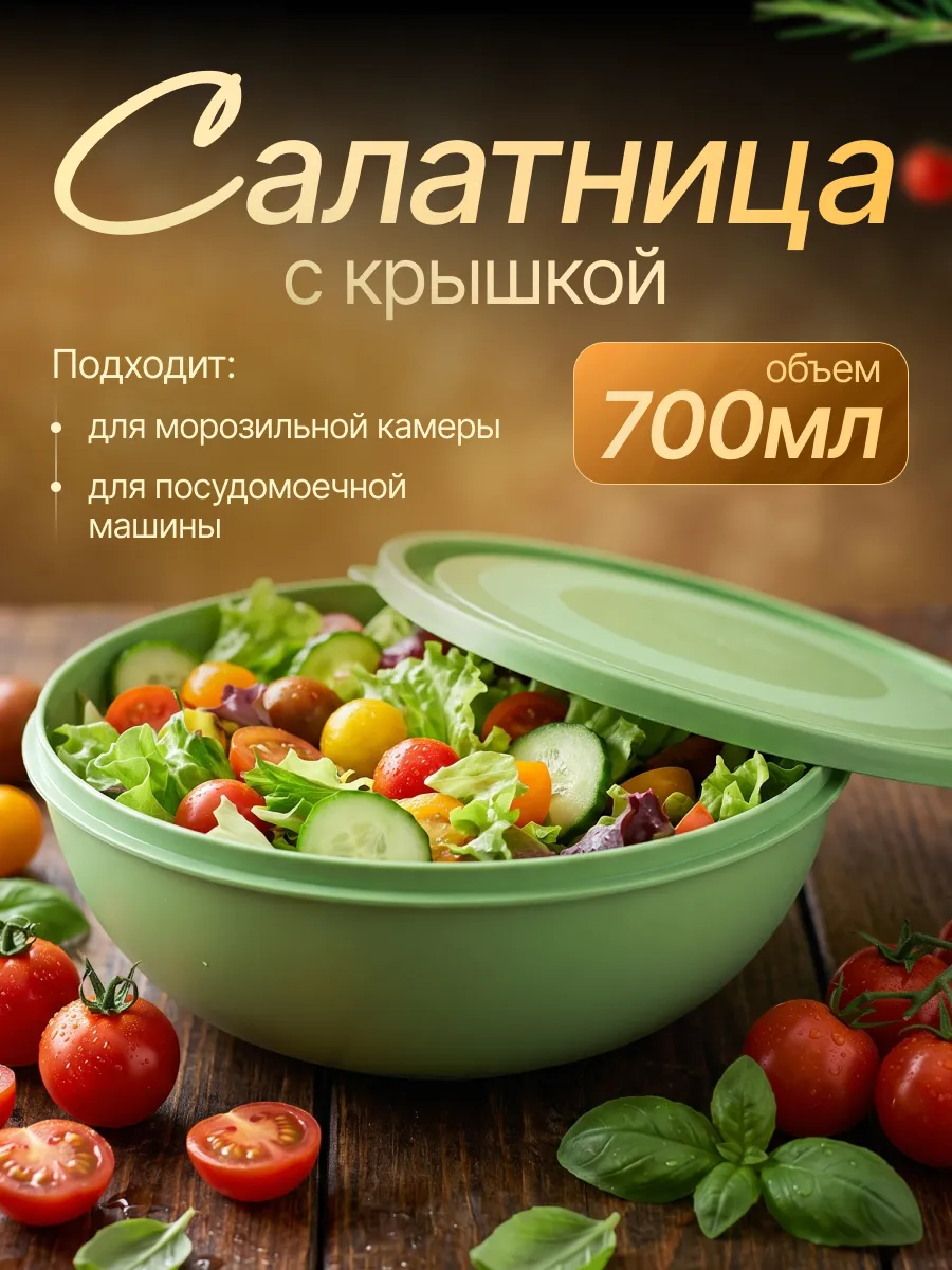 Салатник пластиковый с крышкой 0,7 л