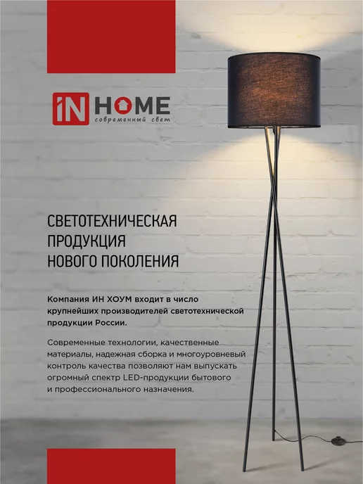 IN HOME Торшер напольный лофт светильник современный ТНО-05Ч, черный, фото 7