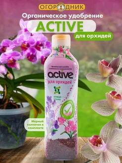 Удобрение Active для орхидей, 500 мл Active удобрение 212695783 купить за 173 ₽ в интернет-магазине Wildberries