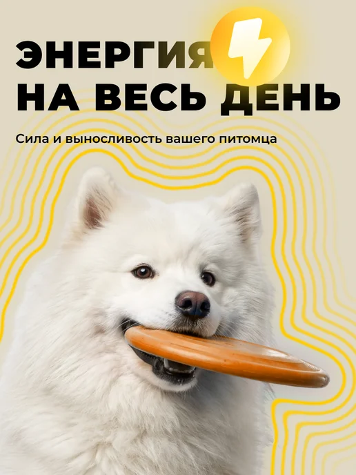Сухой корм KORWOOD для собак, гипоаллергенный, щенки, индейка, 5 кг, фото 2