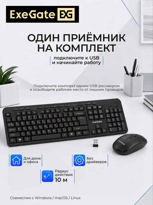 EXEGATE Комплект Professional Standard Combo MK240, черный, фото 5