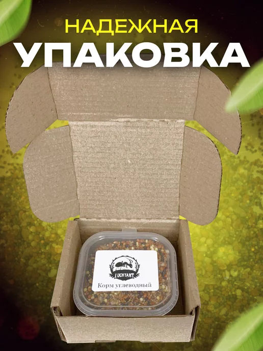 LUCKY ANT Белковый корм для муравьев, вариант, фото 3