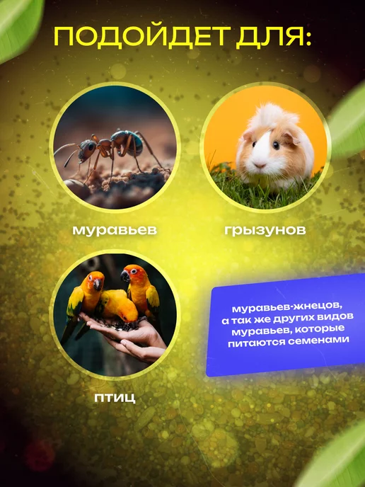 LUCKY ANT Белковый корм для муравьев, вариант, фото 5
