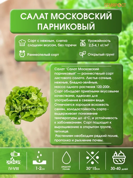 Семярост семена Семена Салат Московский парниковый 2г, 2 г, фото 2