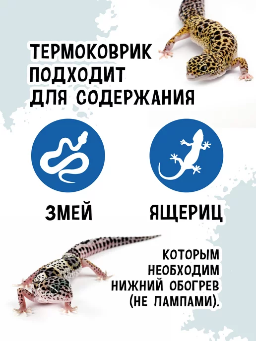 MCLANZOO Термоковрик для рептилий 4Вт, 4 Вт, фото 3