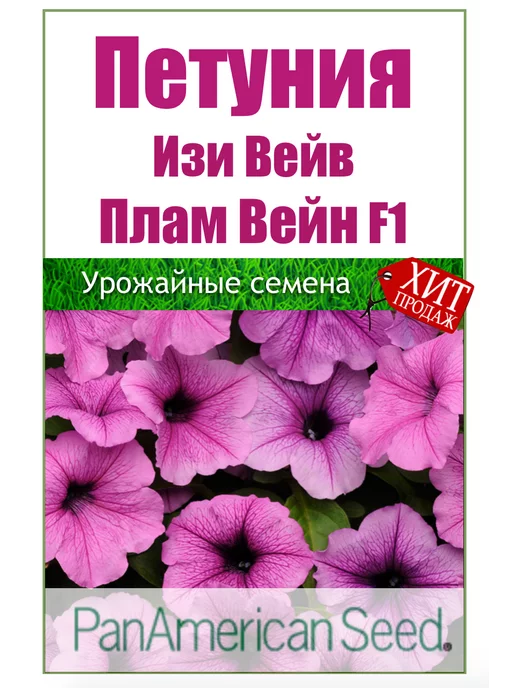 Петуния гибридная Ивнинг Сенсейшн семена - низкая цена, описание, отзывы, продажа