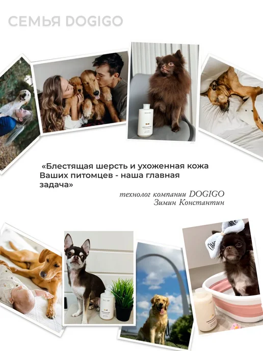 DOGIGO Шампунь для собак с хлоргексидином, от запаха, 415 мл, фото 2