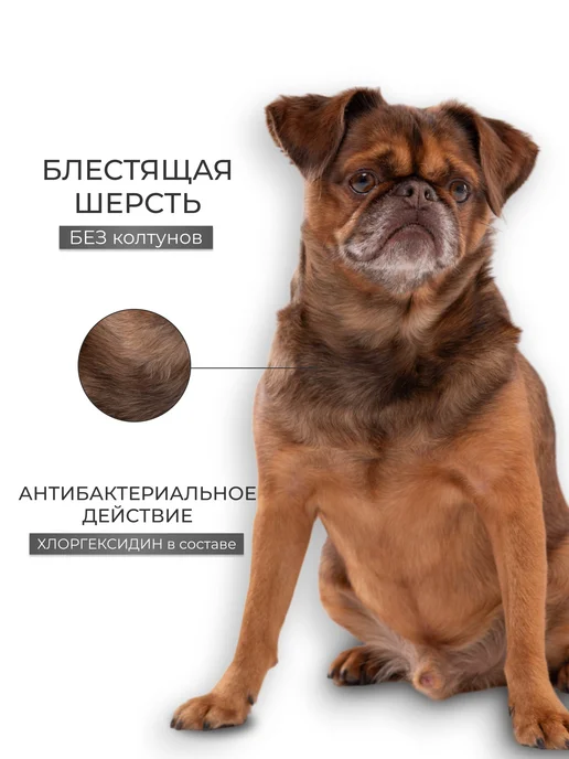 DOGIGO Шампунь для собак с хлоргексидином, от запаха, 415 мл, фото 5