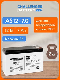 Аккумулятор 12v 7ah, для ИБП, тяговый, детские авто Challenger 213042572 купить за 855 ₽ в интернет-магазине Wildberries