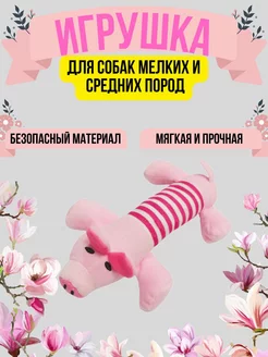 Игрушка для собак (свинка) 213044673 купить за 202 ₽ в интернет-магазине Wildberries