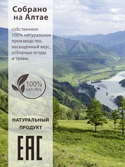 Зеленый чай с мелиссой Торговый дом Вектор. Вид 4.