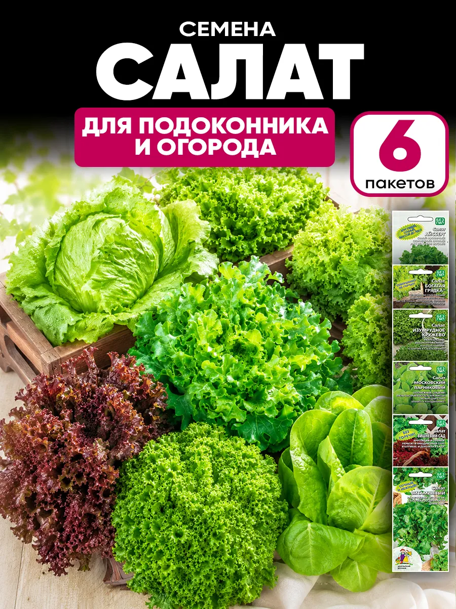 Семена салата листового для открытого грунта