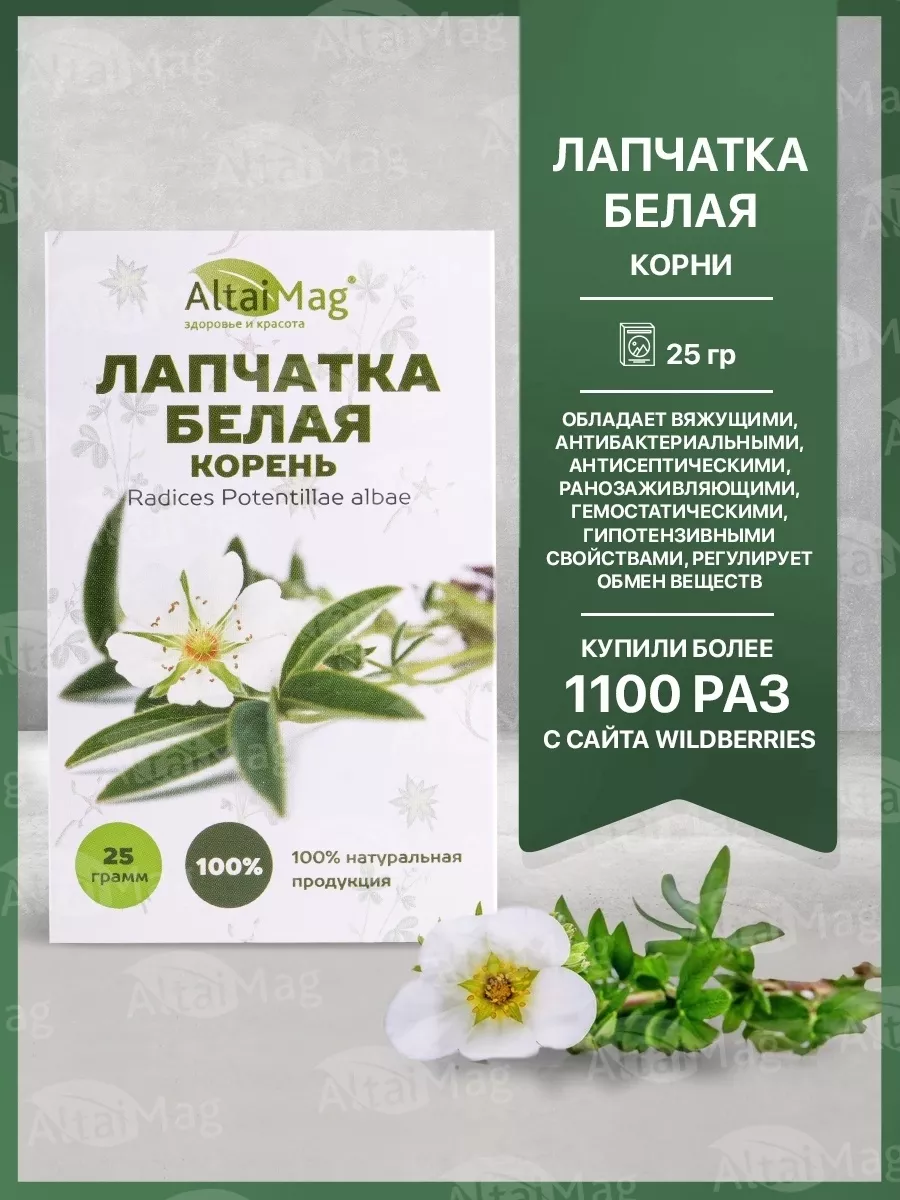 Лапчатка белая корень 20г. Щитовидной лапчатка белая. Корень белой лапчатки в аптеке. Лапчатка белая корневища. Травы кавказа.