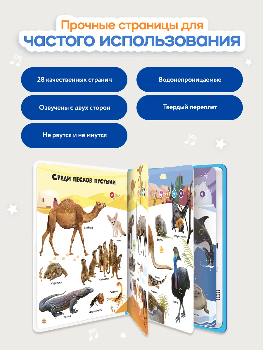 Большая говорящая книга для детей Нажималка Животные BertToys 213703749  купить за 2 728 ₽ в интернет-магазине Wildberries